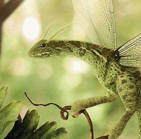 电话号码轰炸app